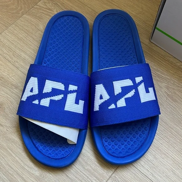 APL SLIDES - Picture 2 of 4